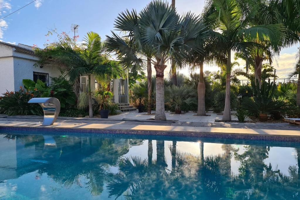 Tropical Paradise Villa In Torrevieja Eksteriør billede