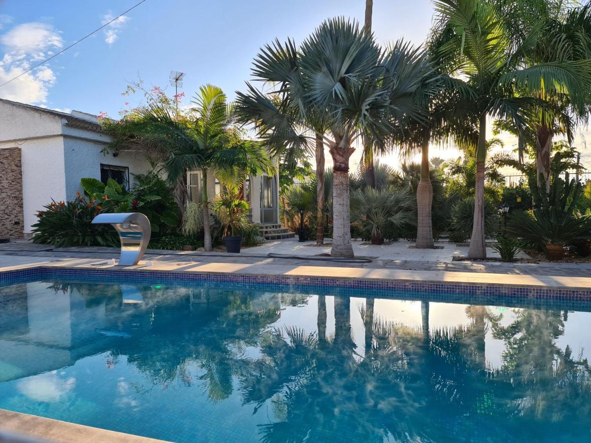 Tropical Paradise Villa In Torrevieja Eksteriør billede