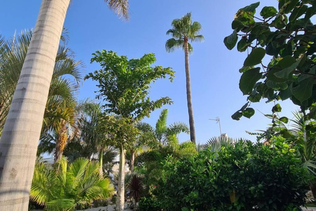 Tropical Paradise Villa In Torrevieja Eksteriør billede